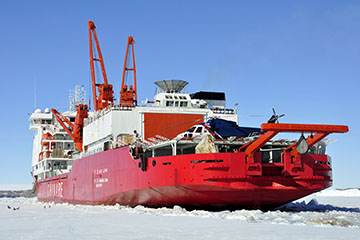 “雪龙”抵达南极中山站 进行第二阶段卸货工作