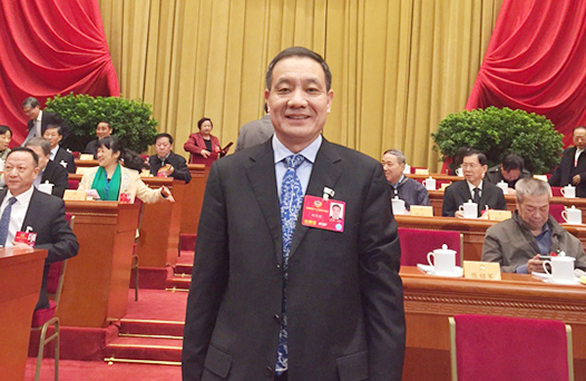 杨维刚在全国政协十二届五次会议上