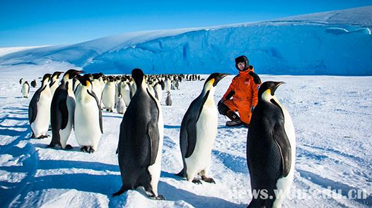 跨越34年的冰雪情缘——武大测绘人参与南极科考纪略_武大南极科考_勘测联合网