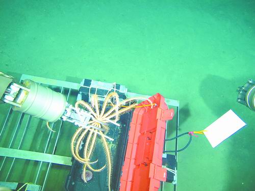 碧海寻声--中科院海洋信息技术创新研究院发展纪实_海洋勘测_勘测联合网